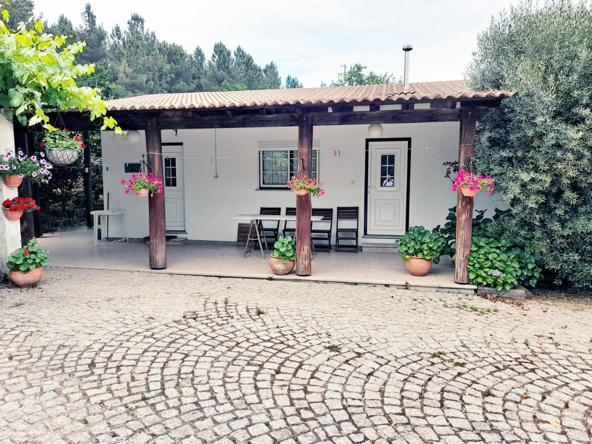 Casa das Aveleiras - Sátão Vila de Igreja Esterno foto